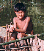 boy with fish