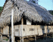 Thatch house