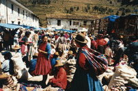 image of market